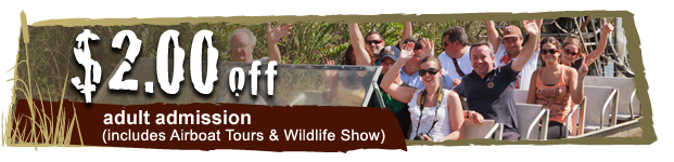 everglades airboat tours discounts