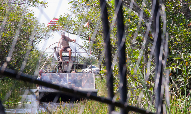 Airboat Ride in the Everglades