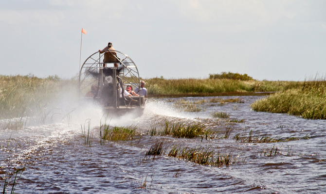 Exciting Airboat Ride