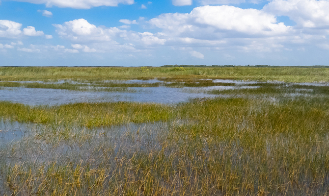 Everglades, River of Grass