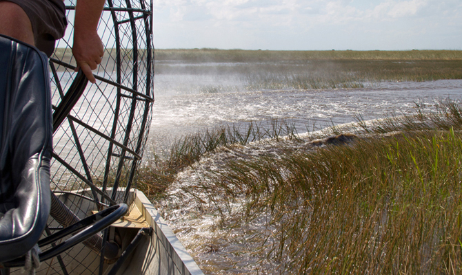 Exciting Airboat Ride in the Everglades